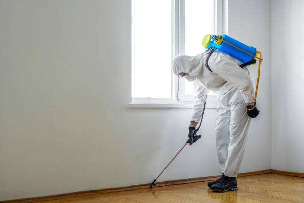 Best Insect Control  in Beverly, OH