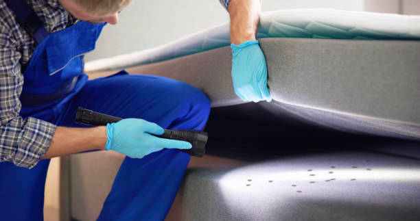 Best Pest Prevention Services  in Beverly, OH