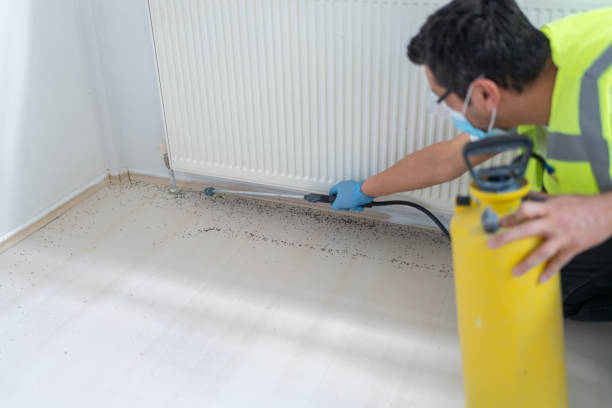 Best Termite Control Services  in Beverly, OH